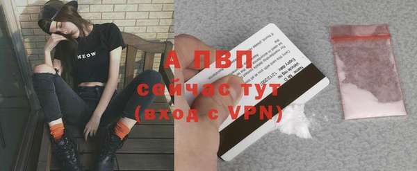 твердый Лиски