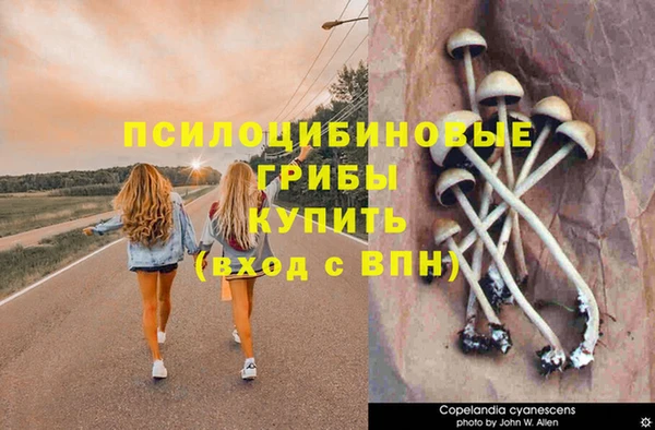 твердый Лиски