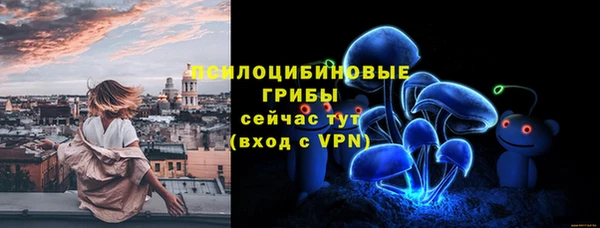 твердый Лиски