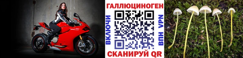 Псилоцибиновые грибы ЛСД  где купить наркоту  Циолковский 